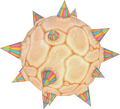 Megrez