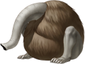 Nozuchi