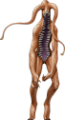 Pisaca