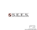 A wallpaper with the Japanese S.E.E.S. logo from the Persona 3 Original Desktop Accessory.