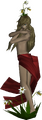 Narcissus