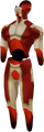 Model from Perona 3